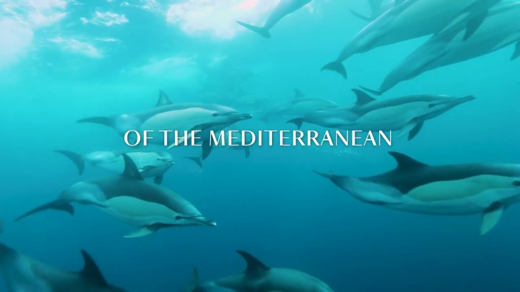 Where Every Port Tells a Story — Explore the Mediterranean in Style with Silversea