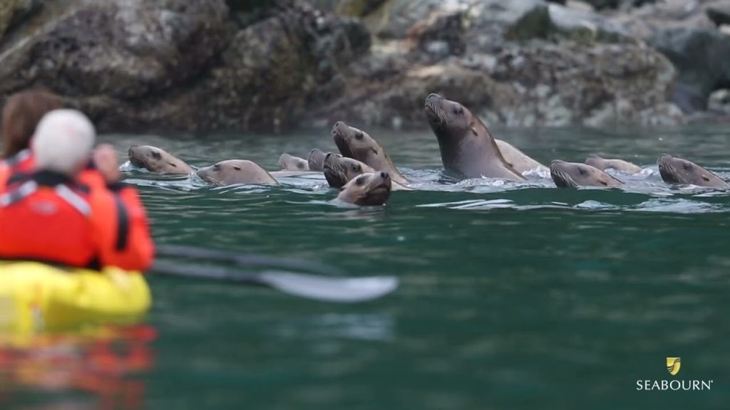 What Can I Expect in Seabourn’s Alaska?